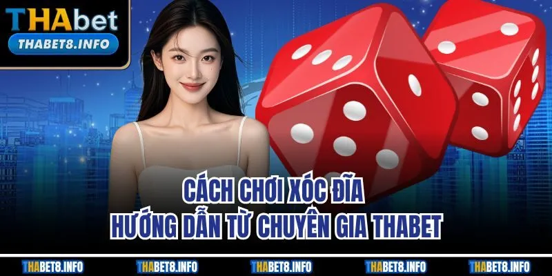 Cách Chơi Xóc Đĩa | Hướng Dẫn Từ Chuyên Gia Thabet