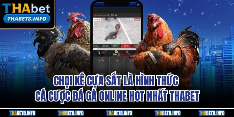 Chọi kê cựa sắt là hình thức cá cược đá gà online hot nhất THABET