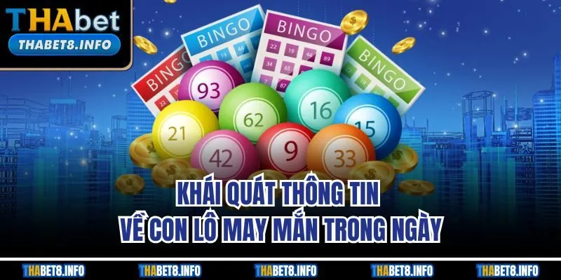 Khái quát thông tin về con lô may mắn trong ngày